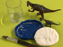 Fossilien - Zeugen der Evolution