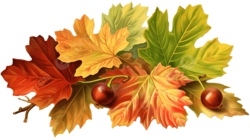 Jung trifft Alt &ndash; Unser gemeinsames Herbstabenteuer