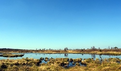 Gehlenbecker Moor...
