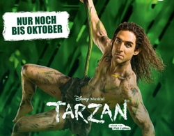 Musicalfahrt nach Hamburg! Tarzan , letzte Chance!!!