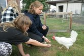 Tierschutz f&uuml;r Teens: K&uuml;he, Pferde, Esel, Schweine und H&uuml;hner, Ern&auml;hrung ohne Tierleid    
