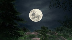 Vollmond - D&auml;mmerungstour in M&uuml;hlhausen