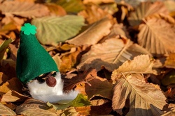Kreativ: Lustige Herbstzwerge