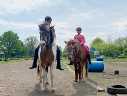  Ponyzeit