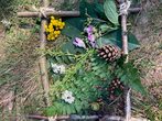  Unser Wald und seine Kultur (1)