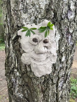 Zauber im Herbstwald