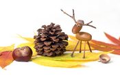 Figuren aus Kastanien und Eicheln basteln