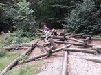 Abenteuer Wald 