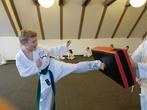 Twin Taekwondo - Weck den Tiger in dir! - 1