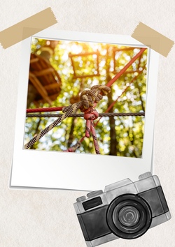 Kletterwald Aurich 