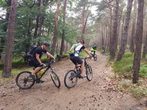 Mehrtägige Mountainbike-Tour in der Pfalz