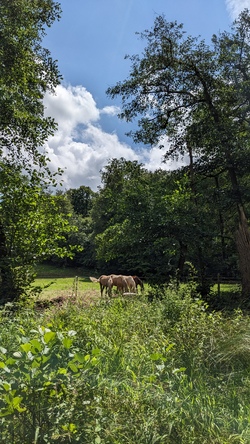 Sommer, Sonne, Ferienspiele