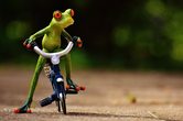 Fahrradtour nach Dänemark