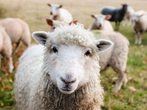 Ein Nachmittag im Natureum mit Clara und Peter, Balje