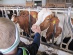 Erlebnisbauernhof I - LEIDER ABGESAGT!!!!!