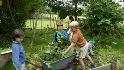 Sommer 3. Ferienwoche / Findus Gartenwerkstatt - Anmeldung ab 13. April 26 (18:00 Uhr)