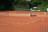 Schnuppertennis für Anfänger