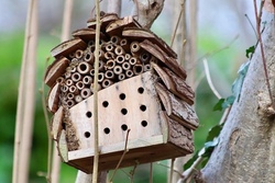 Bienenhotel gestalten