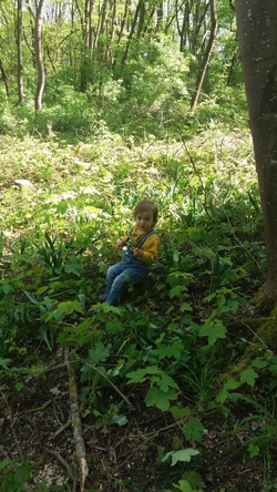 Abenteuer im Wald