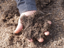 Lebensraum Erde - Wozu hat der Gartenboden Löcher?