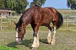 Kindertag auf dem Reiterhof VI
