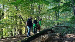 Walddetektive auf Spurensuche