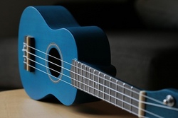 Ukulele Workshop