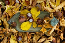 Auf der Suche nach dem Winterfell - Herbsttiere aus Naturmaterialien