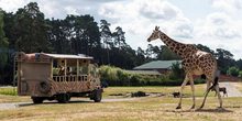 Serengeti Park
