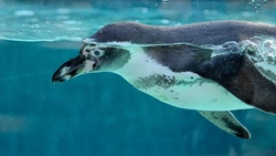 Ausflug - Zoo Osnabrück