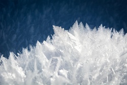 Ich schneide mir den Winter schön